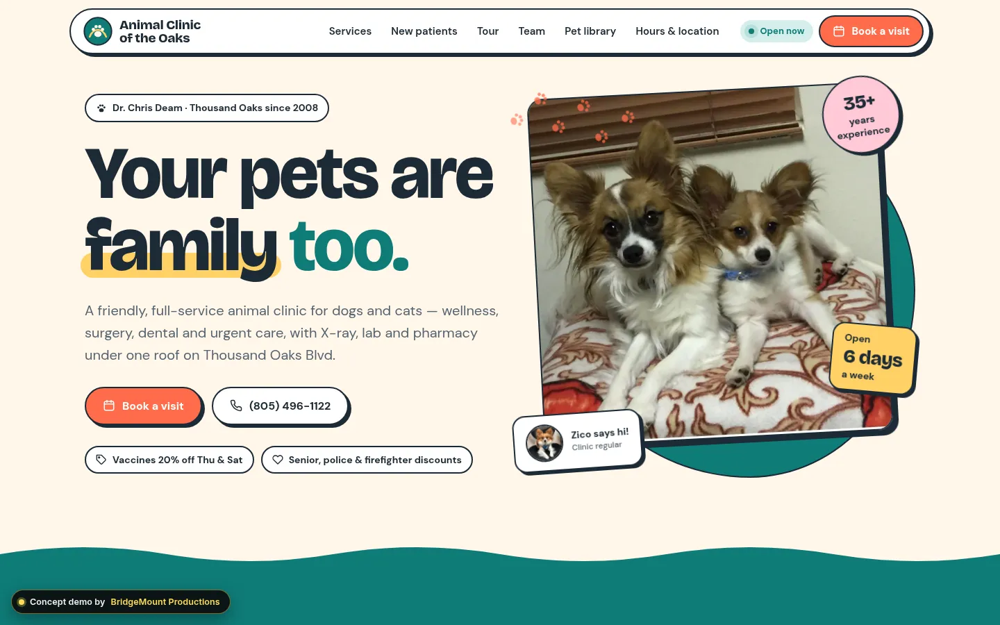 First screen of the “Sticker Club” concept redesign for a veterinary clinic in Thousand Oaks