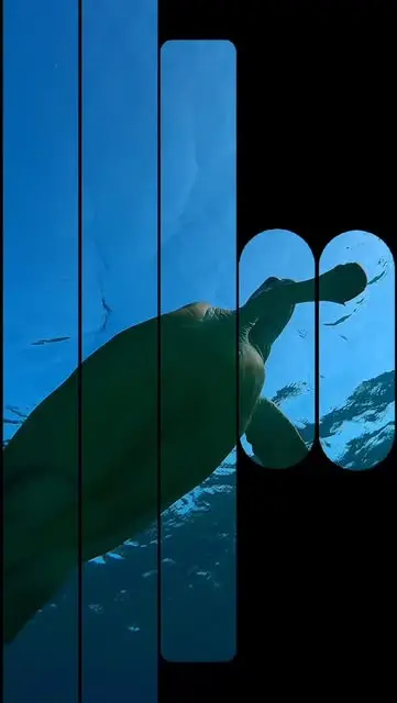 Cover frame of the Instagram Reel “Vacation Vibes”