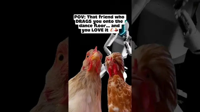 Thumbnail for “Two chickens. One beat. No chill.”