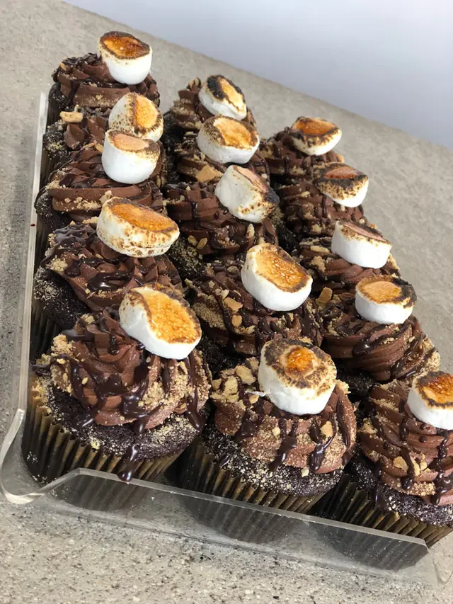 Chocolate cupcakes topped with toasted marshmallow